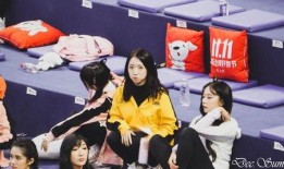 娱乐集合大爆料,大爆料背后的精彩故事