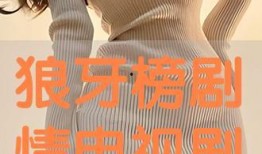 狼牙榜电视剧在线观看,揭秘神秘江湖，热血传奇再现荧屏